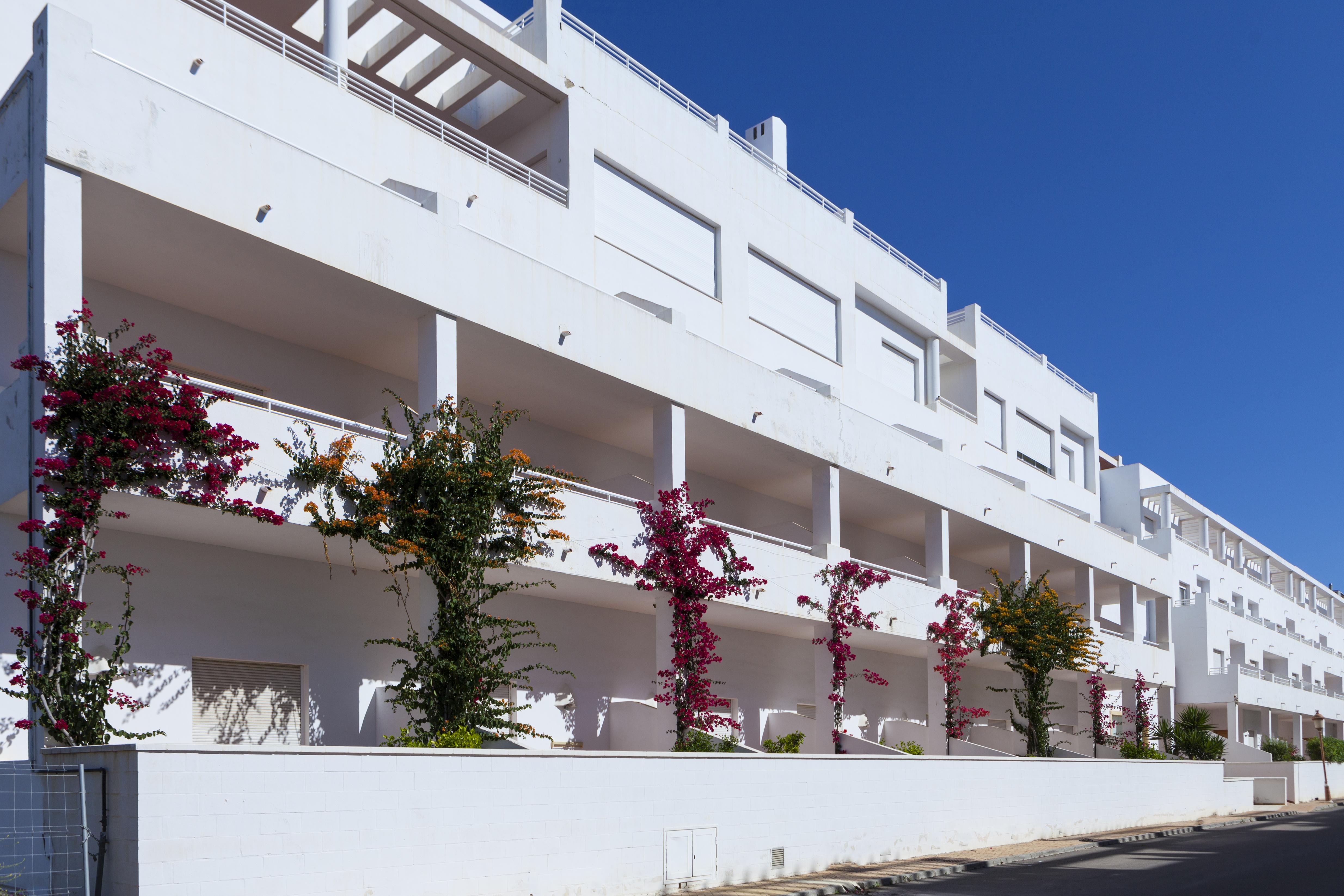 Hotel Mexico ベラ エクステリア 写真